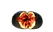 果物8.png