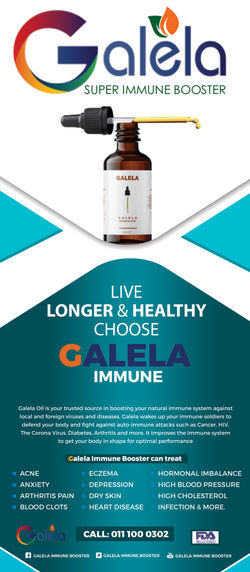 Galela Roll Up Banner 3