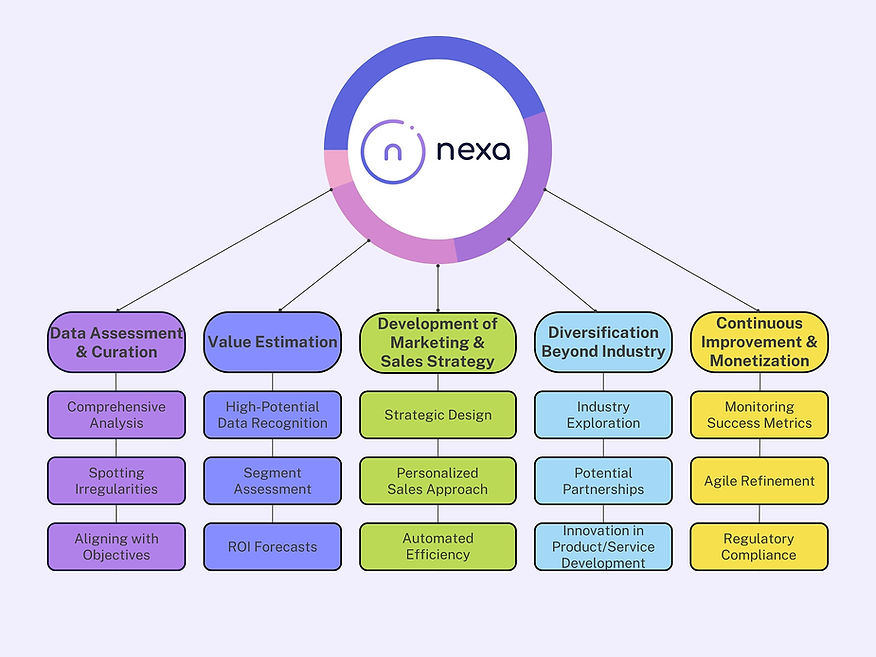 Nexa Example Flow Chart 1_edited.jpg