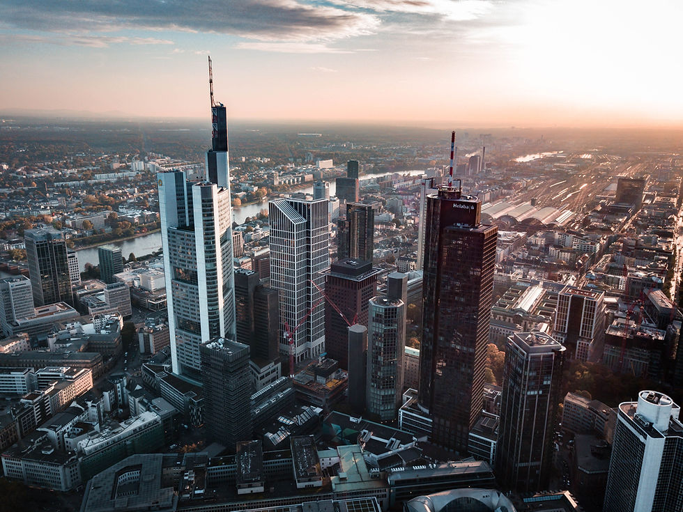 Vision FFM 2030