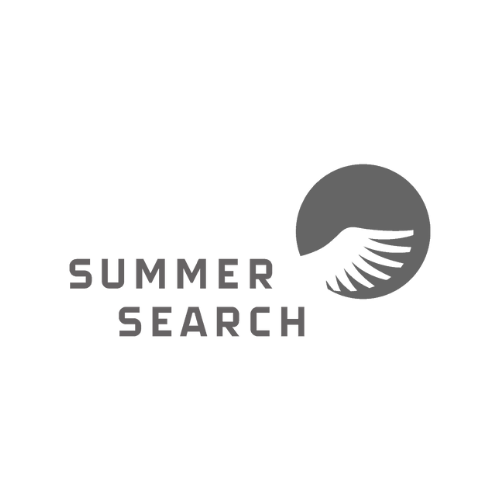 Logo for B Suite Fractional Staffing client, Summer Search