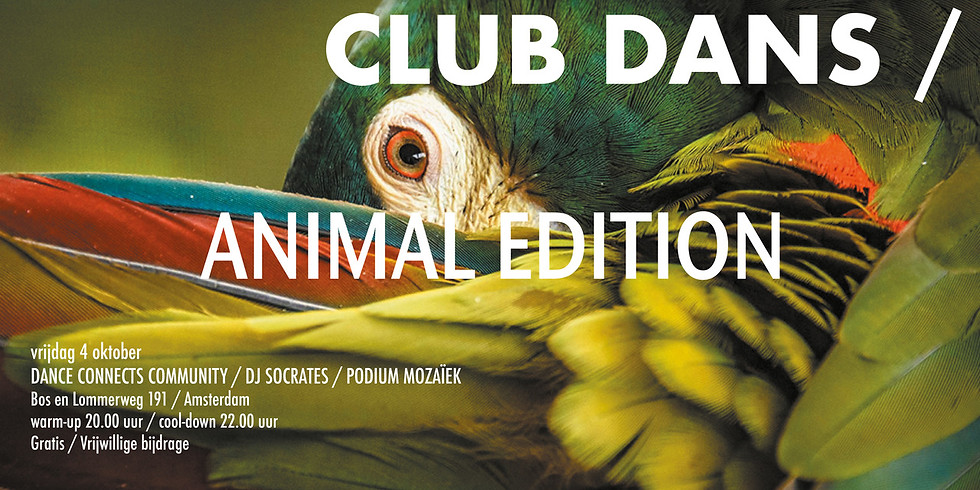 CLUB DANS
