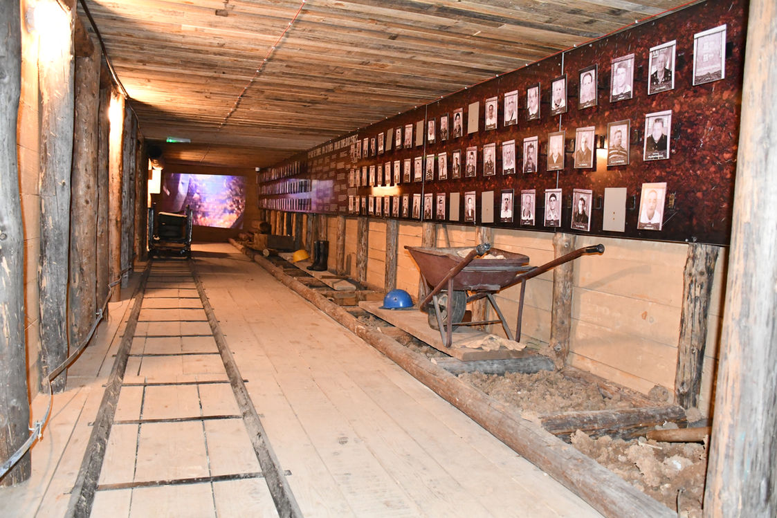 Web_Tunel100 (3).JPG