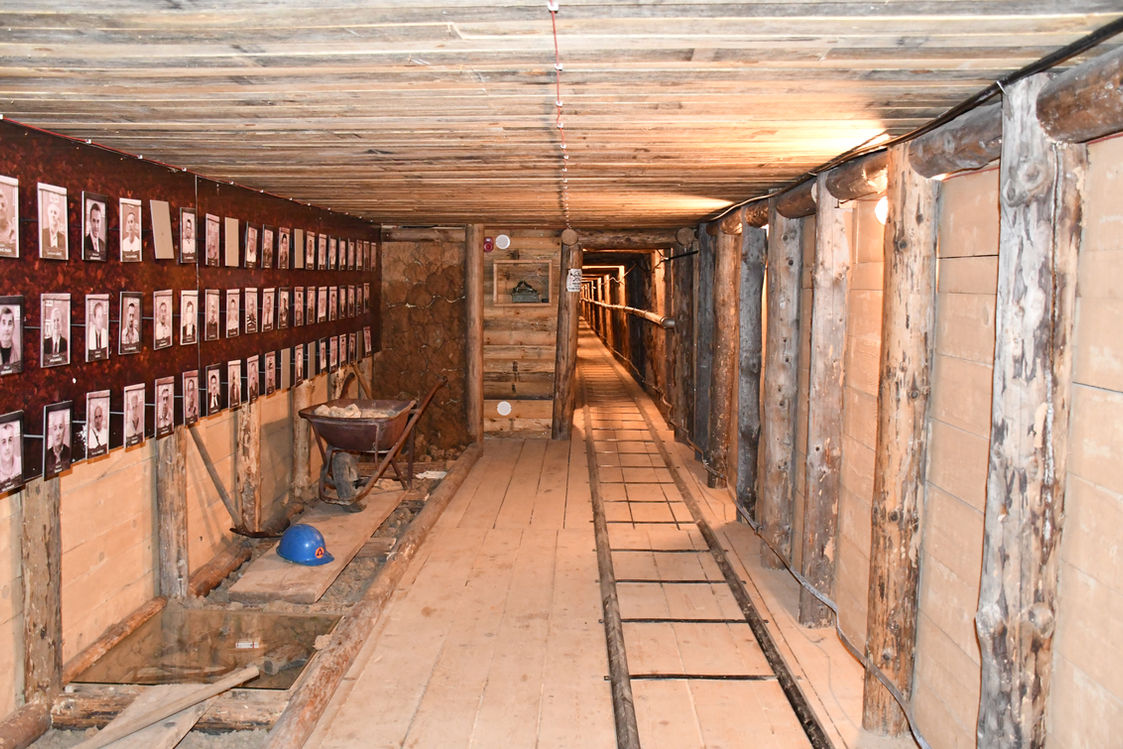 Web_Tunel100 (4).JPG