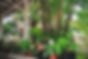 image00046.jpeg