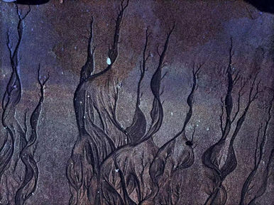 Starry Night
