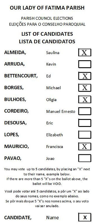 ballot_edited.jpg
