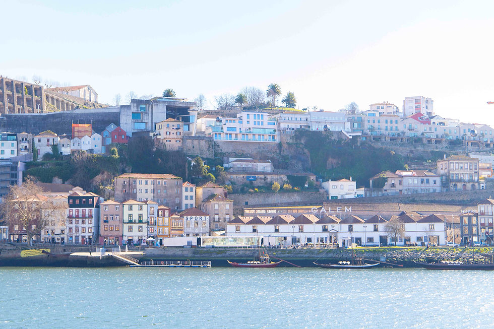 What to do in Porto?