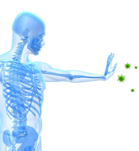 immunesystem.jpg