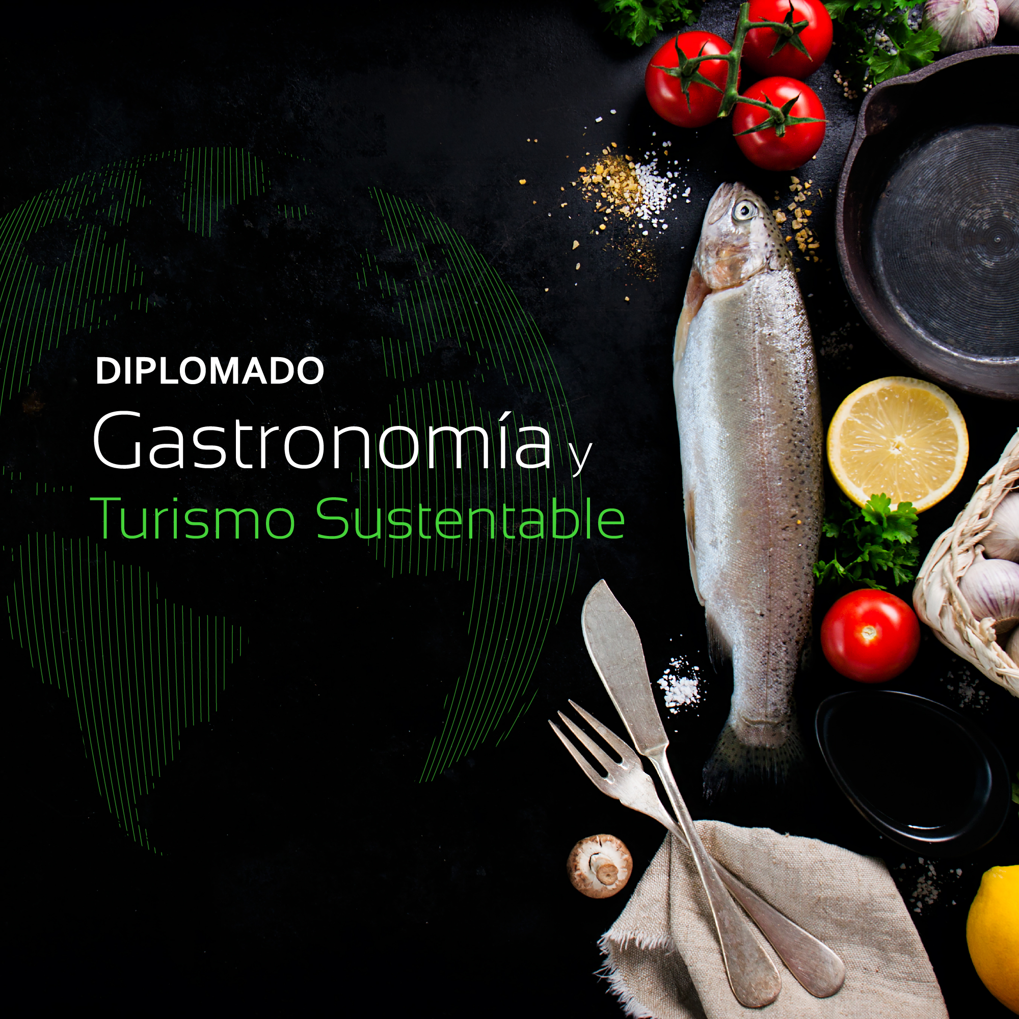 Diplomado Gastronomía y Turismo Sustentable.
