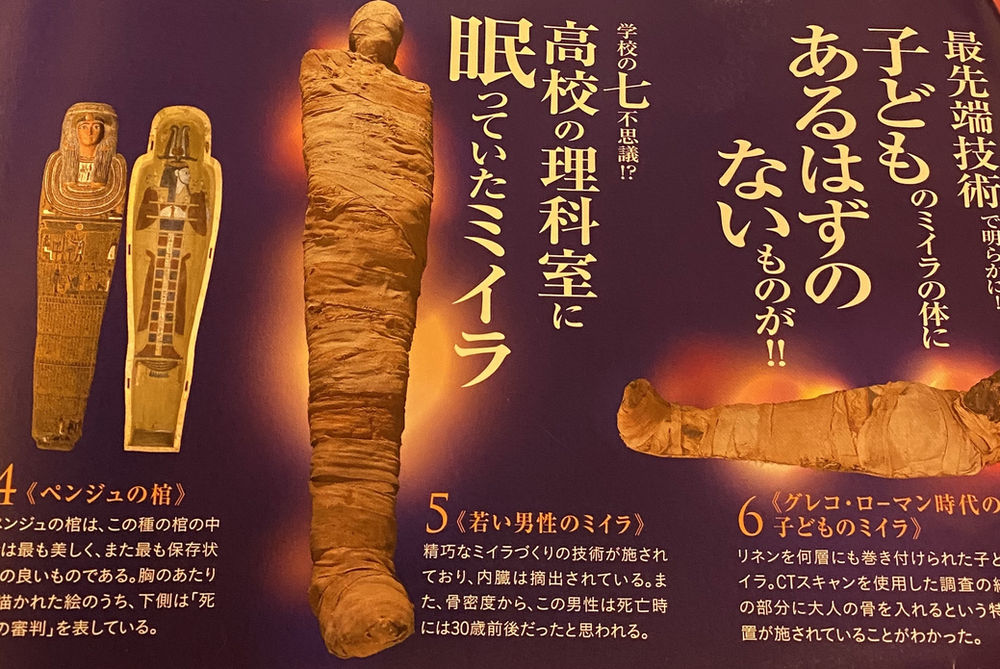 ミイラ「永遠の命」を求めて