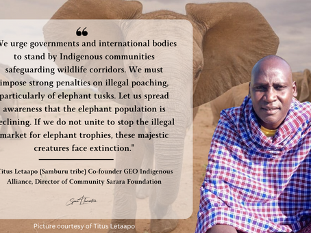 The Resounding Echo of Elephants: A conversation with Titus Letaapo