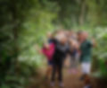 trilhas6 (1)_edited.jpg