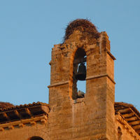 p1000833