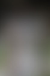 Conversation With Montini Athlete Maxwell Bell Class Of 2025