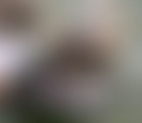 Talking With Lemont Defensive Tackle Alex Pasquale Class Of 2024