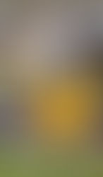 Conversation With Marion Star Running Back Jordyn Beverly Class Of 2024 - Name You Need To Know