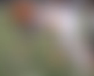 Talking With Mahomet-Seymour DL Jack Gallier Class Of 2024 - Recruit You Need To Know