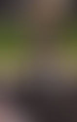 Speaking With Wheaton Warrenville South QB James Sok Class Of 2023