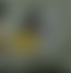 Talking With Glenbrook South Linebacker Patrick Downing Class Of 2023 - Name To Watch