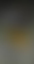 Meet Glenbrook South Athlete Tyrone Cotton Class Of 2025 - Name You Must Know