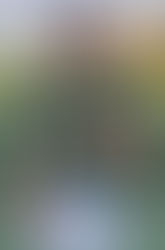 Conversation With Stevenson 6'4 WR Ben Snider Class Of 2023 - Name To Watch