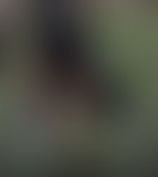 Conversation With ICCP OL John Niecikowski Class Of 2024 - Ready To Get Back On The Field