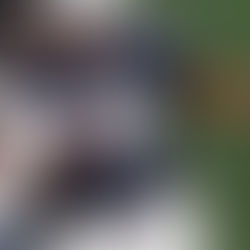 Introducing Plainfield South 6'3 OL Donte Green Class Of 2025 - Recruit That You Must Know