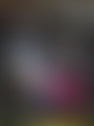 Meet Glenbrook South Athlete Wehbe Elie Wehbe Class Of 2025