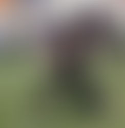 Introducing Lakes Athlete Dillan Davis Class Of 2026 - Name To Watch