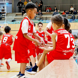 Scopri il Minibasket 