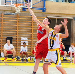 News Movimento Giovanile 