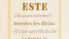 CELEBRACIÓN
