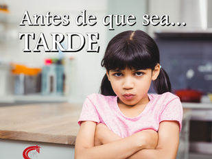EL EXPERIMENTO