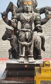 WhatsApp Image 2026-02-03 at 11.47.56 AM.jpeg