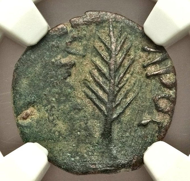 Moeda Bíblica Prutá de Porcius Festus sob Nero (59-63 dC) Certificada N