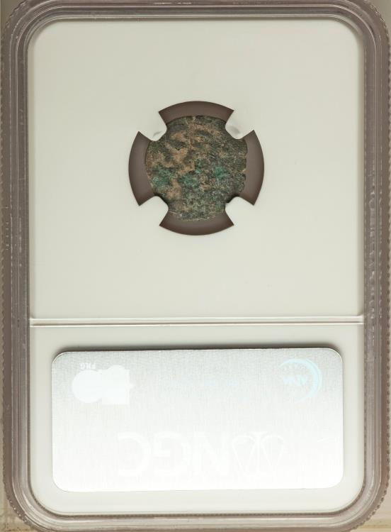 Miniatura: Moeda Judia Bíblica Judaea Porcius Festus (AD 59-62). AE prutah. NGC Money of th