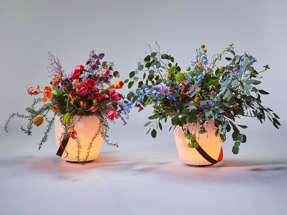 Miniaturbild: The Joouly Bowl LTD L