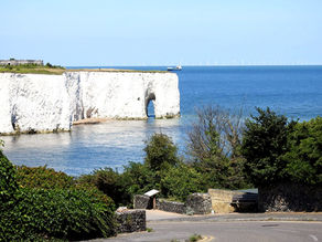 What a Picture, What a Photograph!