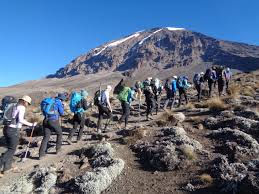 Kilimanjaro Trekking Packages