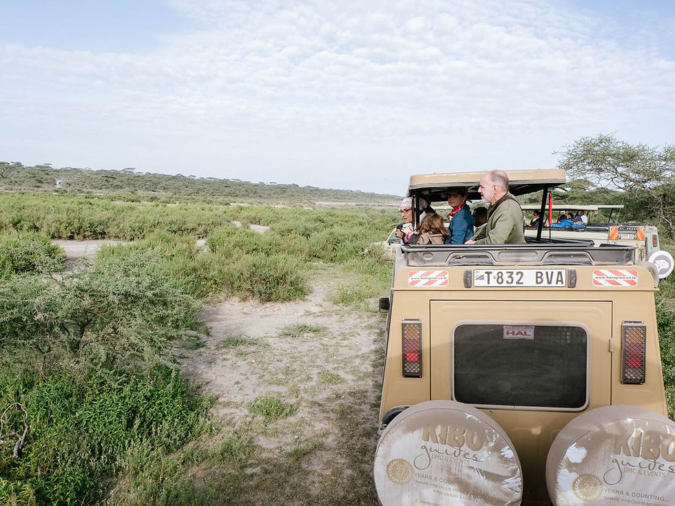 Serengeti Safari Tours