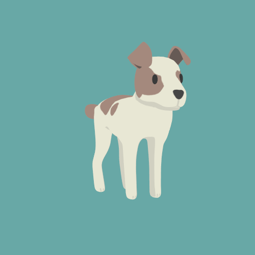 Dog Chases Tail