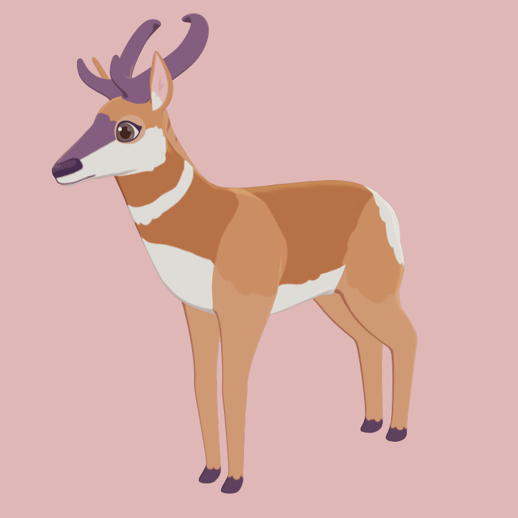 PronghornIdle