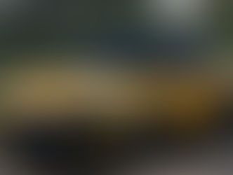 Volkswagen T-Roc 2026