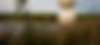 Polder peil (internet)_edited_edited.png