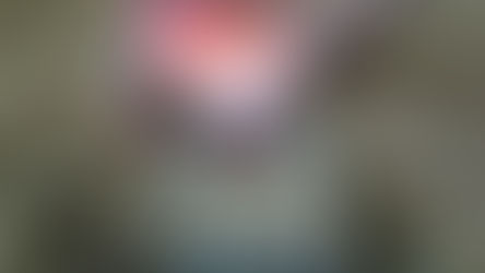 「石川県文化×観光体験」石川県の観光ポータルサイト ほっと石川旅ねっと