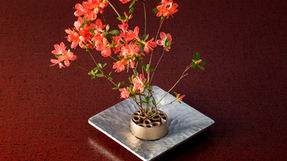 mybest 生け花用フラワーベース人気ランキング