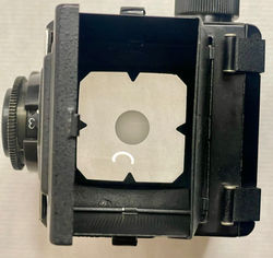 TLR-913d