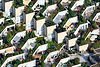 Oxygen Cities