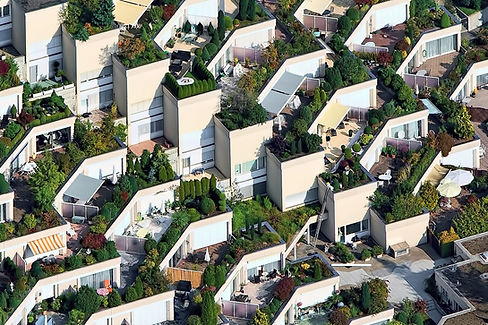 Oxygen Cities